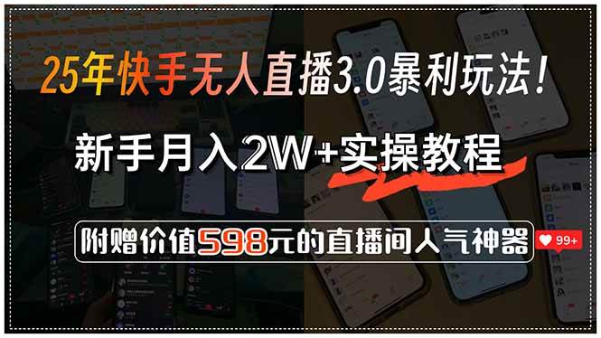 （15335期）25年快手无人直播3.0暴利玩法！，新手月入2W+实操教程，附赠价值598元…-大伟资源网
