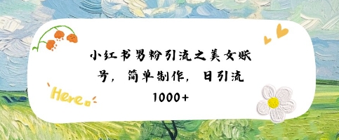 小红书男粉引流项目之美女账号6，简单制作，条条爆款原创，不违规-大伟资源网