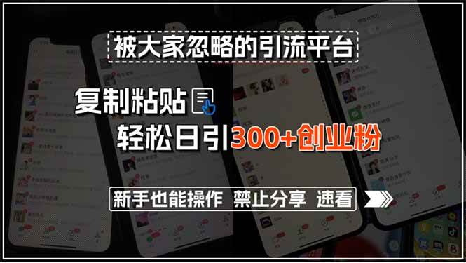 （15428期）被大家忽略的引流平台，复制粘贴轻松日引300+创业粉，新手也能操作，禁…-大伟资源网