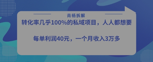 转化率最高的私域项目，每单利润40-50米，月入过1w-大伟资源网