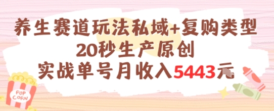 养生赛道玩法私域+复购类型，20秒生产原创实战单号月收入5k+-大伟资源网