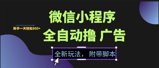 微信小程序全自动撸广告项目，彻底解决没流量的问题，新手一天8张+【揭秘】-大伟资源网