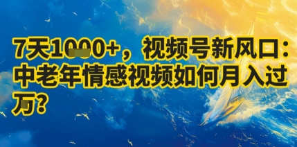 7天收益1k+，视频号新风口：中老年情感视频如何月入过W?-大伟资源网