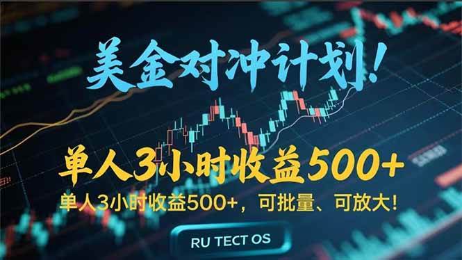 （15321期）长久稳定的撸美金项目，平均3小时收入 500+，可公司实地考察实地操作！-大伟资源网