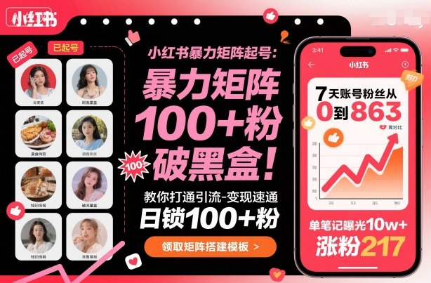 小红书暴力矩阵起号，教你打通引流-变现速通，日锁100+粉，破流量黑盒-大伟资源网