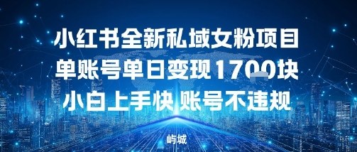 小红书全新私域女粉项目单账号单日变现多张，小白上手快账号不违规建议准备多账号操作-大伟资源网