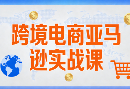 丝丝老师·跨境电商亚马逊实战课(更新2月)-大伟资源网
