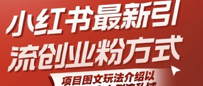 小红书最新引流创业粉方式，项目图文玩法介绍以及如何安全倒流私域-大伟资源网