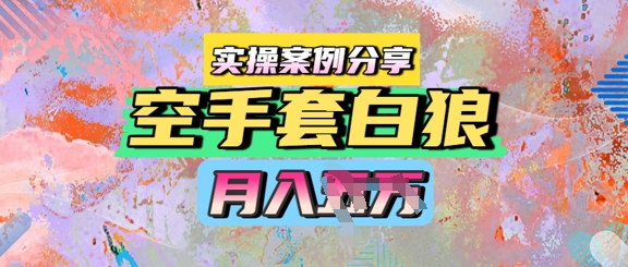 空手套白狼，月入过1W，实操案例分享-大伟资源网