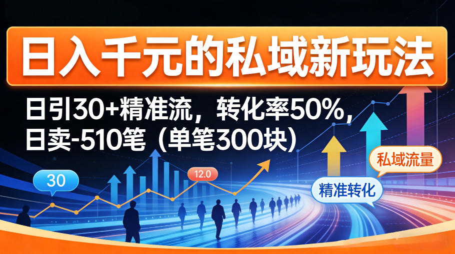 日入千米的私域新玩法：日引30＋精准流，转化率50%，日卖5-10笔(单笔300米)-大伟资源网