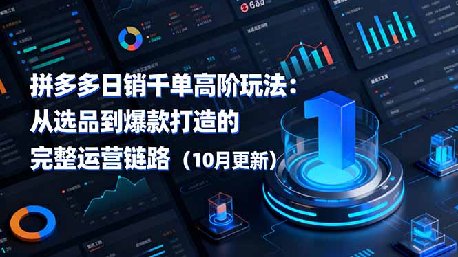 拼多多日销千单高阶玩法：从选品到爆款打造的完整运营链路(10月更新-大伟资源网