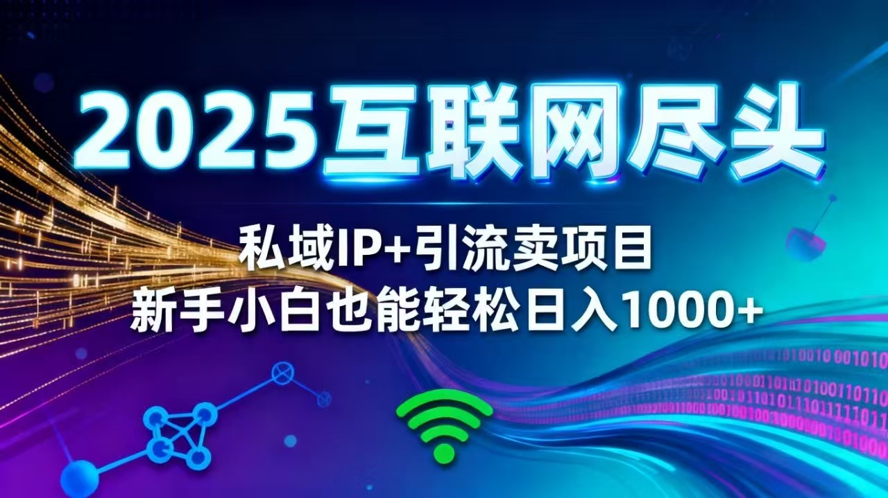 2025网创尽头王炸项目！私域 IP + 精准引流，新手小白在家躺赚日入 1000+-大伟资源网