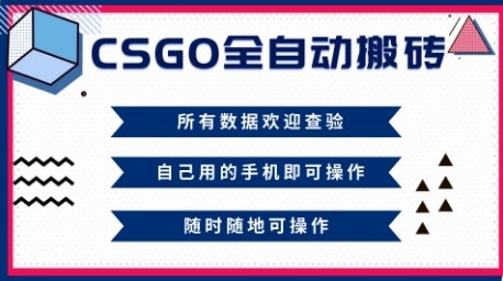 CSGO全自动搬砖，年底钱回家好项目，当天可拿到结果，新手小白轻松月入1W+【揭秘】-大伟资源网
