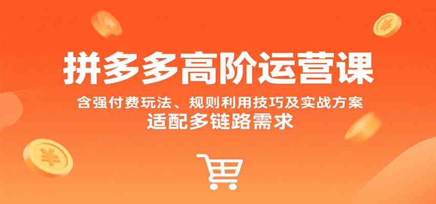 拼多多高阶运营课，含强付费玩法、规则利用技巧及实战方案，适配多链路需求-大伟资源网