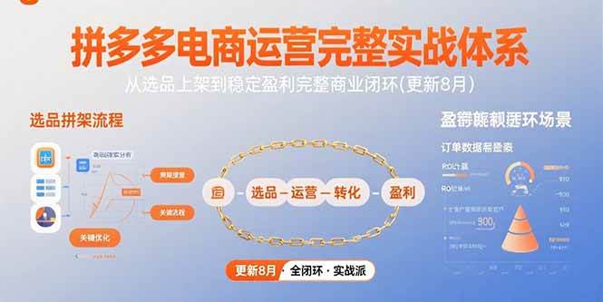 （15579期）拼多多电商运营完整实战体系，从选品上架到稳定盈利完整商业闭环(更新8月)-大伟资源网