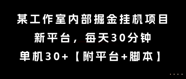 某工作室内部掘金挂G项目，新平台，每天30分钟，单机30+【揭秘】-大伟资源网