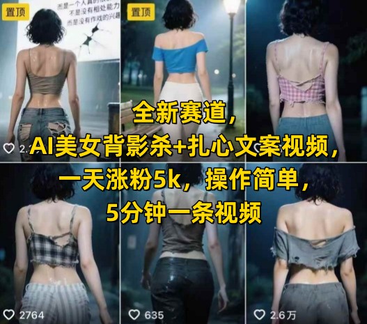 全新赛道，AI美女背影杀+扎心文案视频，一天涨粉5k，操作简单，5分钟一条视频-大伟资源网