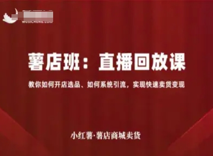 小红薯薯店商城卖货直播回放课，教你如何开店选品、如何系统引流，实现快速卖货变现-大伟资源网