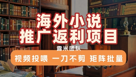 海外小说推广返利项目，视频投喂， 一刀不剪，矩阵批量-大伟资源网