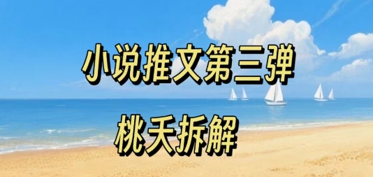 小说推文项目操作全流程第三弹，0粉就能做，门槛低非常适合新手-大伟资源网