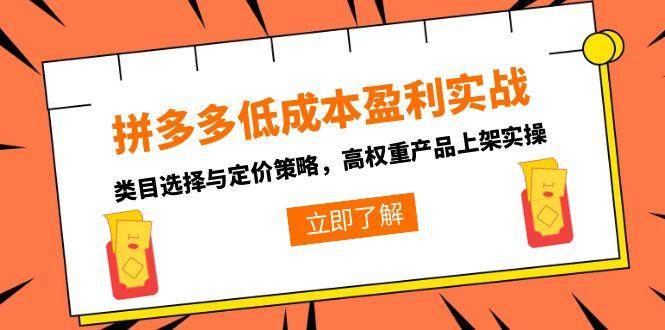 （15143期）拼多多低成本盈利实战，类目选择与定价策略，高权重产品上架实操-大伟资源网