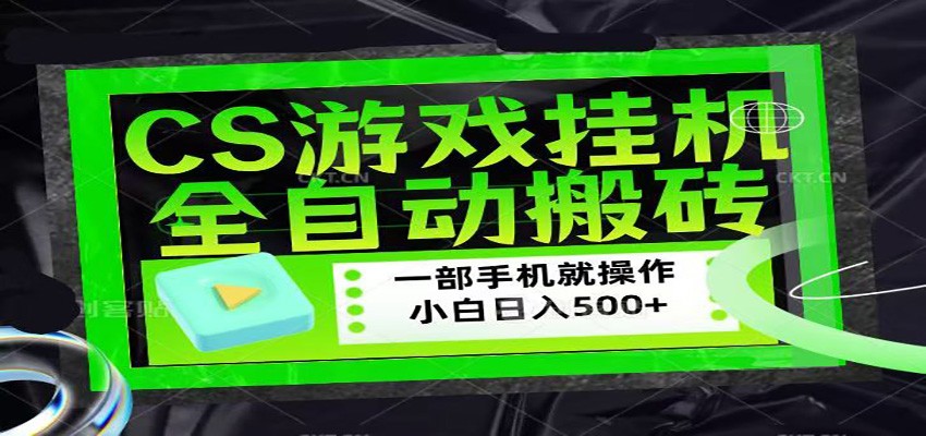 CSGO游戏挂机捡漏搬砖，超稳定的项目，带领1000+小白实现日入500+-大伟资源网