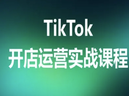 TikTok开店运营实战课程，TK跨境电商实操全流程-大伟资源网
