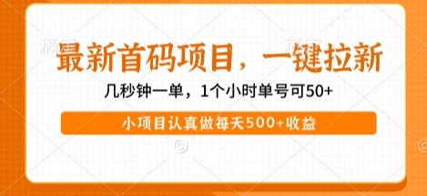 最新首码项目，操作最简单，收益高，一键拉新，1个小时单号可50+，小项目认真做每天5张+收益【揭秘】-大伟资源网
