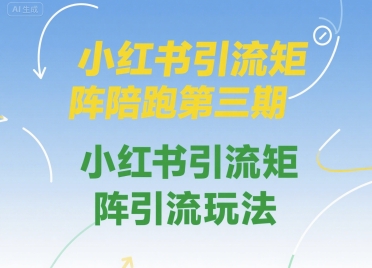 小红书引流矩阵陪跑第三期，小红书引流矩阵引流玩法-大伟资源网