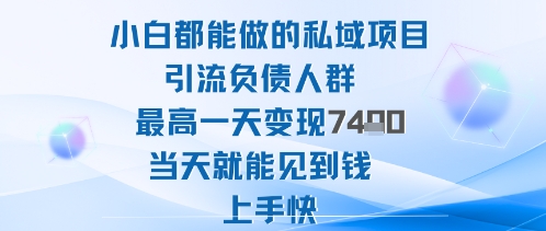 2025年小白都能做的私域项目引流负债人群最高一天变现1k+高变现难度低当天就能见到钱上手快-大伟资源网