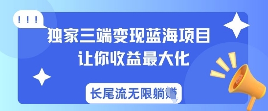独家三端变现蓝海项目，让你收益最大化，长尾流无限躺挣-大伟资源网