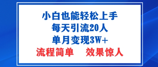 小白也能轻松上手的宝妈项目,每天引流20人,单月变现3W+,流程简单,效果惊人