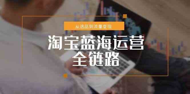 淘宝蓝海运营全链路，从选品到流量变现，小类目突围完整方案-大伟资源网