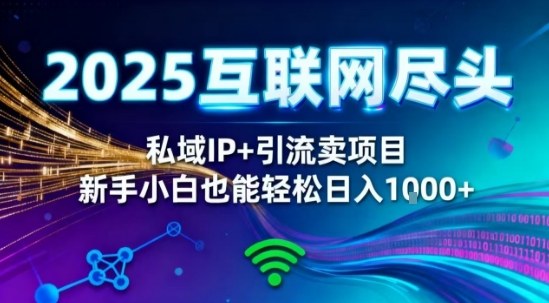 2025网创尽头王炸项目！私域IP+精准引流，新手小白在家躺賺日入1k，零经验也能上手【揭秘】-大伟资源网