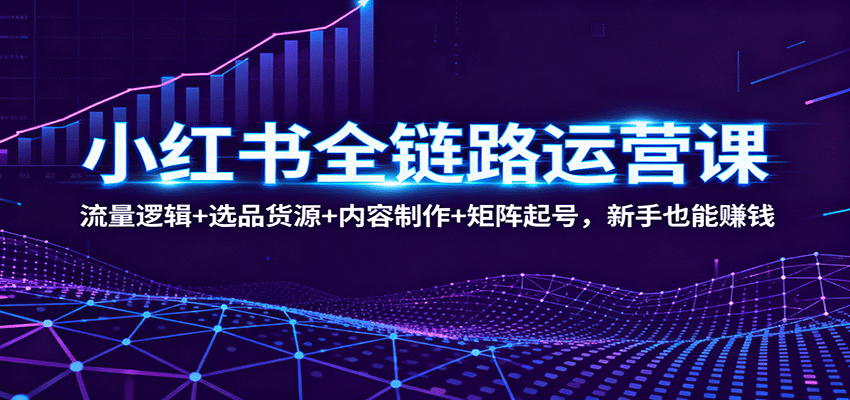 小红书全链路运营课：流量逻辑+选品货源+内容制作+矩阵起号，新手也能赚钱-大伟资源网