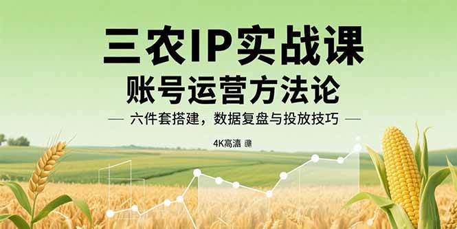 （15864期）三农IP实战课：账号运营方法论，六件套搭建，数据复盘与投放技巧-大伟资源网