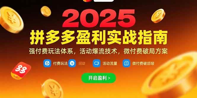 （15357期）拼多多盈利实战指南，强付费玩法，活动爆流技术，微付费破局方案(更新7月)-大伟资源网