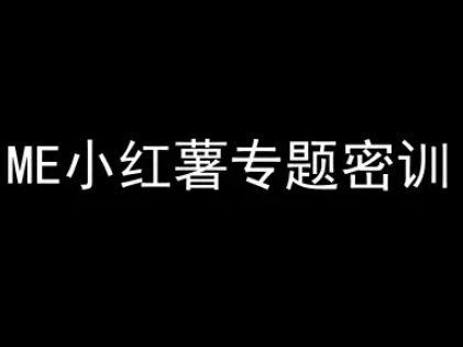 ME小红薯专题密训-小红书电商教程-大伟资源网