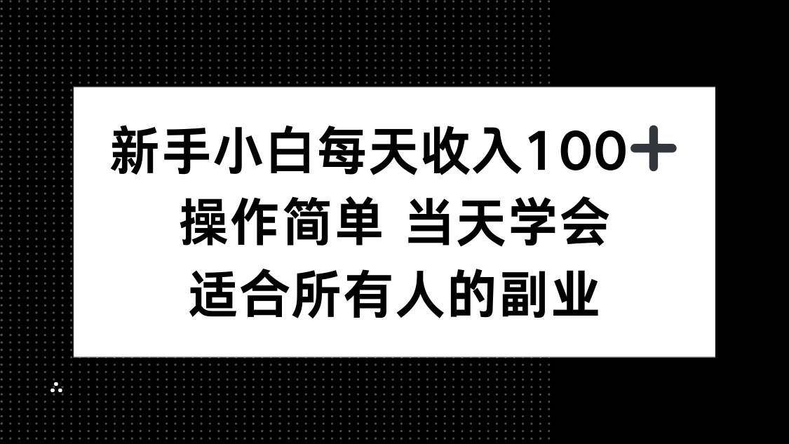 （15937期）新手小白每天收入100+，操作简单 当天学会 ，适合所有人的副业-大伟资源网