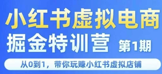 小红书虚拟电商掘金特训营第1期，从0到1，带你玩转小红书虚拟店铺-大伟资源网