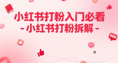 小红书打粉入门必看-小红书打粉拆解-大伟资源网