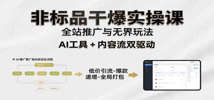 非标品干爆实操课：含多案例及操盘方法，从选品到推广、成交，助力打造爆款实现盈利-大伟资源网