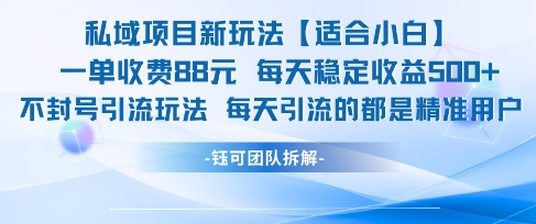 私域项目新玩法【适合小白】 一单收费88.每天稳定收益几张-大伟资源网
