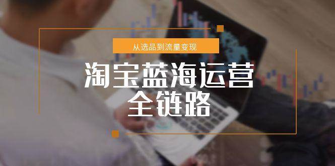 （15160期）淘宝蓝海运营全链路，从选品到流量变现，小类目突围完整方案-大伟资源网