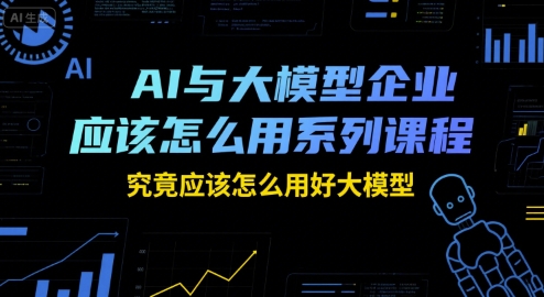 AI与大模型企业应该怎么用系列课程，究竟应该怎么用好大模型-大伟资源网