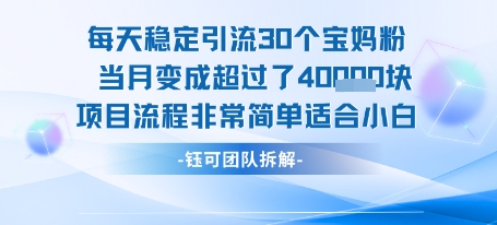 每天稳定引流30个人 当月变成超过了4个W项目流程非常简单适合小白-大伟资源网
