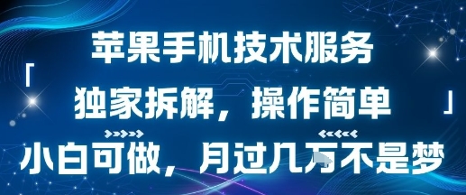 苹果手机技术服务，独家拆解，操作简单，小白可做，月过1W不是梦-大伟资源网