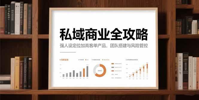 （15294期）私域商业全攻略，强人设定位加高客单产品，团队搭建与风险管控-大伟资源网