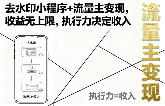 去水印小程序+流量主变现，收益无上限，执行力决定收入-大伟资源网