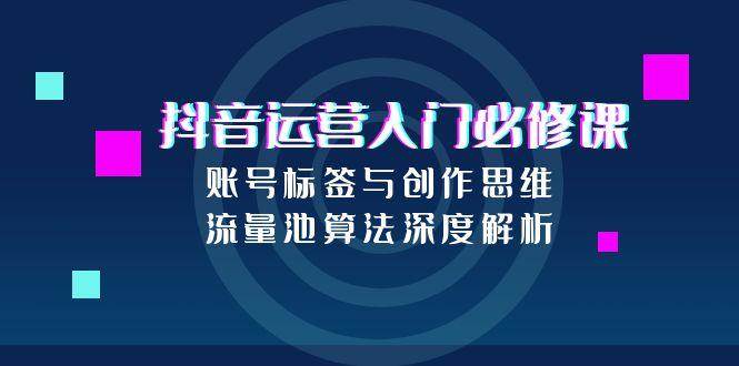 抖音运营入门必修课，账号标签与创作思维，流量池算法深度解析-大伟资源网